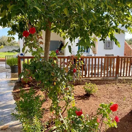 Casa Dominaty Bed & Breakfast Cálig