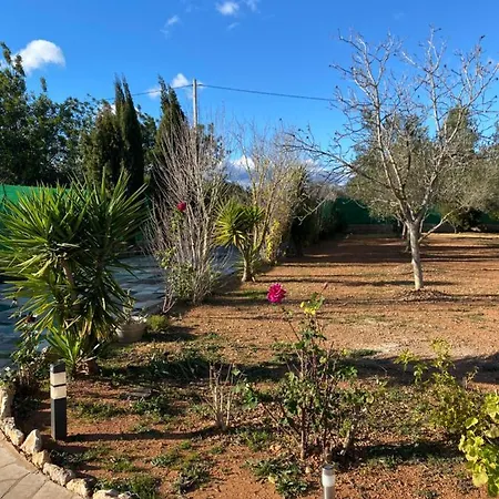 Casa Dominaty