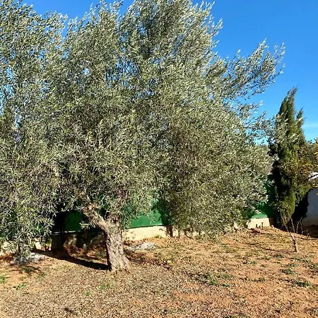 Casa Dominaty Bed & Breakfast Calig