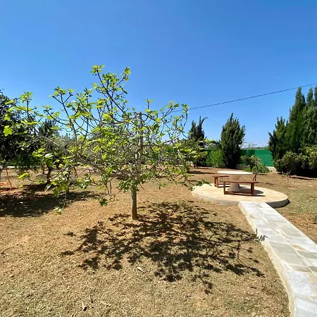 Oda ve Kahvaltı Casa Dominaty *