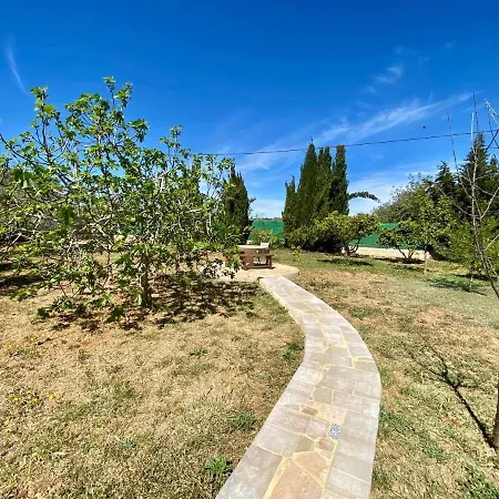 Oda ve Kahvaltı Casa Dominaty
